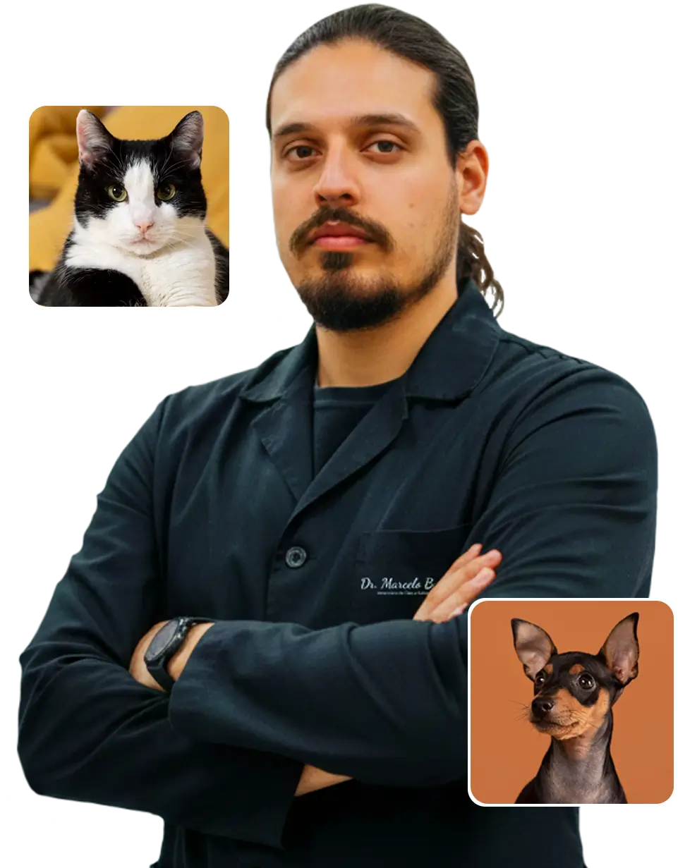 marcelo-baracho-doutor-medico-veterinario-em-sao-jose-dos-campos